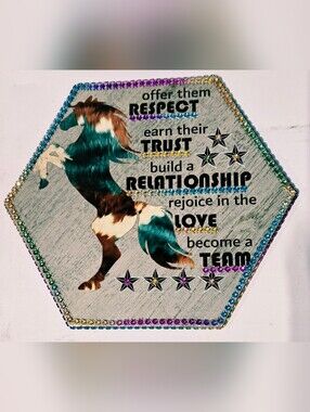 Respect Horse Hexagon Plaque Highlighted With Rhinestones.